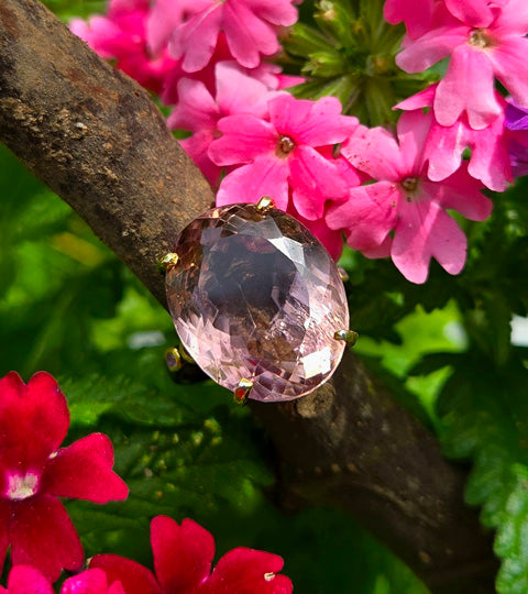 Purple and Gold Blooms