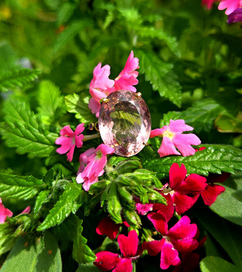 Purple and Gold Blooms