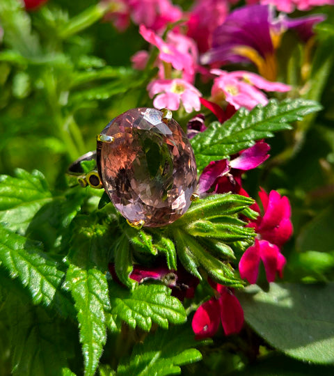 Purple and Gold Blooms