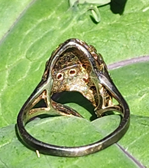 Garnet-Studded Seashell