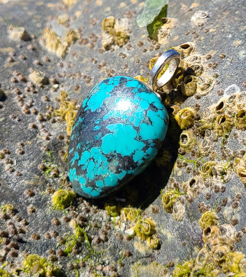 Turquoise