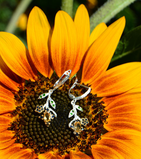 Sunflower Garden