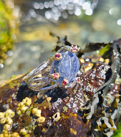 Sapphire and Coral