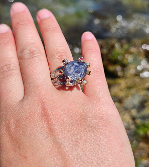 Sapphire and Coral