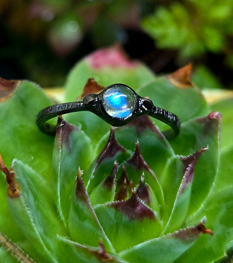 Midnight Moonstone