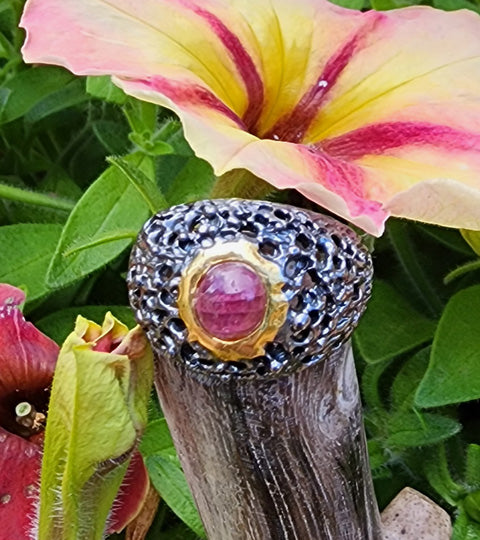 Coral Cradle
