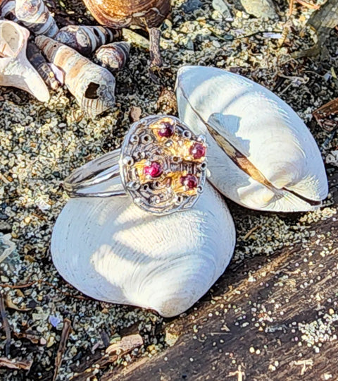 Garnet Cluster