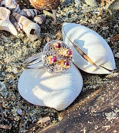 Garnet Cluster