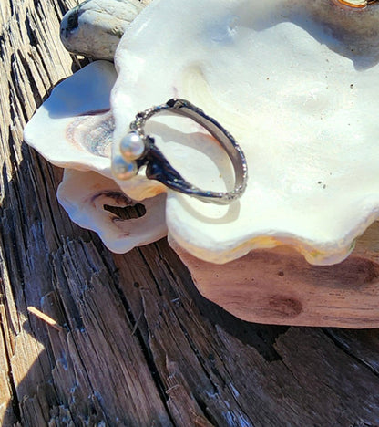 Double Ocean Treasure