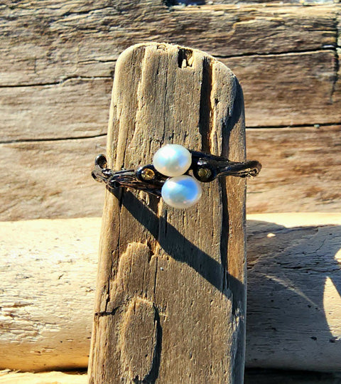 Double Ocean Treasure