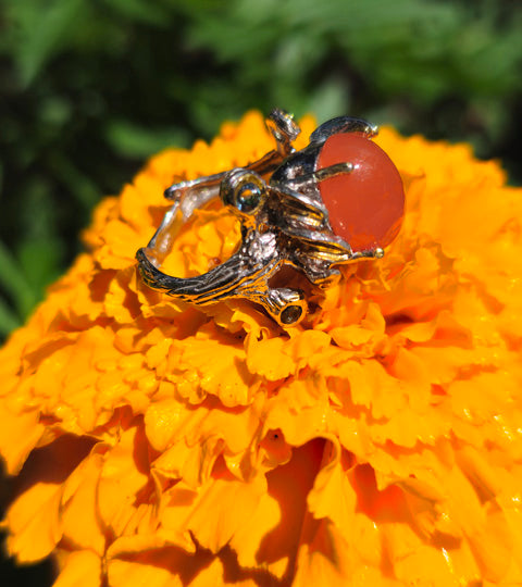 Orange Inferno