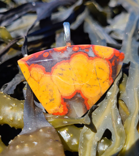 Poppy Jasper