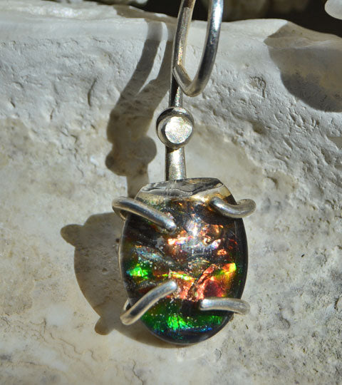 Casco de tartaruga ammolite