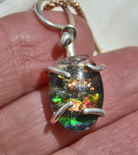 Ammolite turtle shell